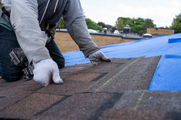 Best Shingle Roofing Installation  in Haymarket, VA