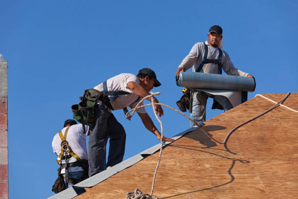 Best Roof Maintenance Services  in Haymarket, VA