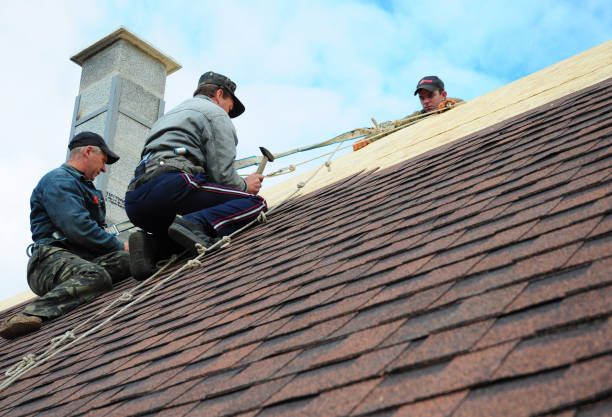 Best Roof Maintenance Services  in Haymarket, VA