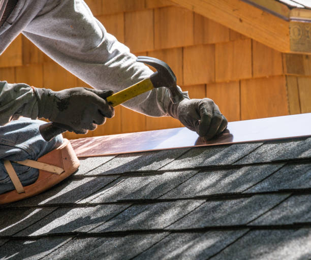 Best Roof Gutter Cleaning  in Haymarket, VA